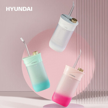 HYUNDAI 电动冲牙器 便携式家用折叠 清洁器 洁牙器 洗牙器   W2（颜色随机或备注） 