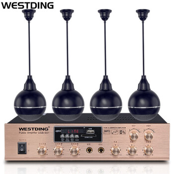 威斯汀( WESTDING) B-08同轴吊球吸顶喇叭音响套装 吊顶背景音乐公共广播悬挂吊球音箱喇叭USB-601功放拖四