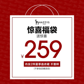 福袋惊喜礼包女童连衣裙装神秘福袋内含二件夏装连衣裙不退换裙子105