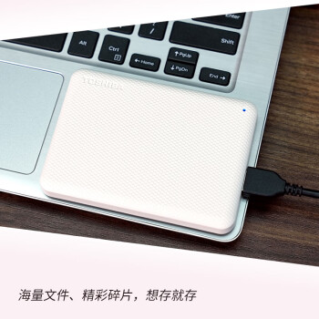 东芝（TOSHIBA）4TB 移动存储 移动硬盘 小小白桃 V10系列  兼容Mac 便携 高速传输 密码保护 照片备份