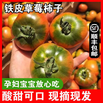 顺丰丹东铁皮柿子草莓西红柿碱地铁柿子新鲜现摘3斤精品装