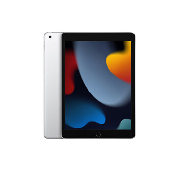 Apple iPad 10.2英寸平板电脑 2021款(256GB WLAN版/A13芯片) 银色 MK2P3CH/A*企业专享