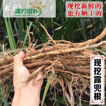 伟博现挖露兜树根 新鲜勒古根露兜根中草药假菠萝根露兜叶根 500g