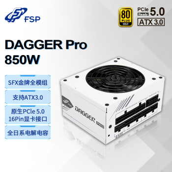 全汉（FSP）额定 850W Dagger pro 850W雪装版电源 (ATX3.0标准/PCI-E5.0接口/SFX金牌全模组/DC to DC）