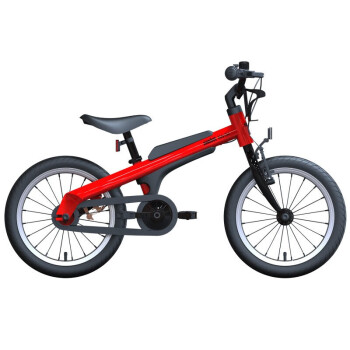 九号（Ninebot） 平衡童车 16英寸自行车儿童运动自行车5-8岁脚踏车 DS