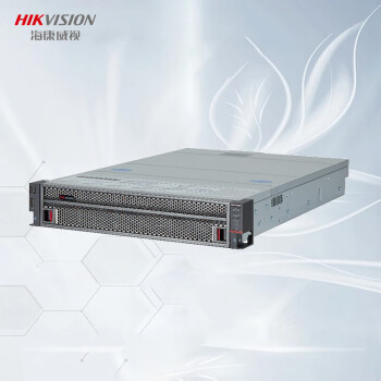 HIKVISION海康威视intel双路通用服务器DS-VE22S-B（310810894）