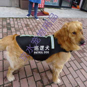 军犬衣服狗背心金毛衣服大型犬德牧背心泰迪工作马犬衣服马甲狗狗巡逻