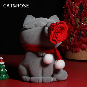 Cat&Rose永生花猫咪礼盒生日礼物送女友闺蜜情人节表白玫瑰花真花家居摆件