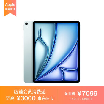 Apple iPad Air 13 英寸 M2芯片 2024年新款平板电脑256GB WLAN版/MV2F3CH/A 蓝色*企业专享
