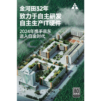 金河田（Golden field）额定700W 龙霸700 台式主机电脑电源(主动式PFC/温控保护/宽幅电压/黑色扁平线材）