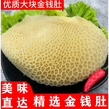 顺丰速运金钱肚新鲜冷冻牛金钱肚半成品熟牛肚商用批发冻蜂窝肚生安