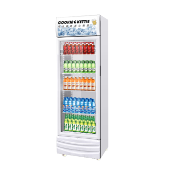 雪花（SNOWFLK）展示柜冷藏商用冰柜冰箱保鲜柜立式冷藏柜冷藏展示柜饮料柜冷柜 