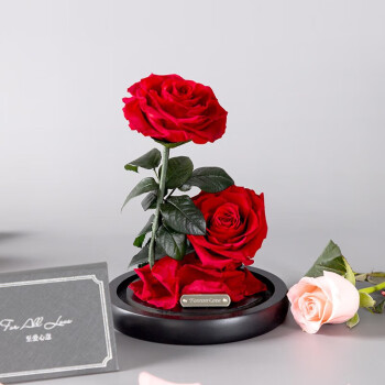 RoseBox永生花礼盒玫瑰花七夕情人节生日礼物结婚纪念日送女朋友老婆实用