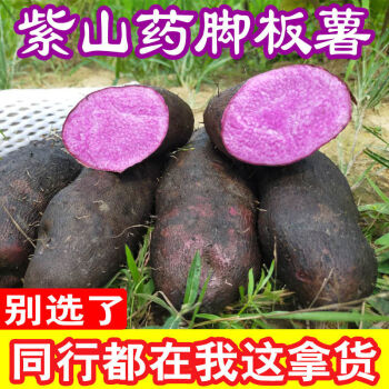 现挖5斤江西农家蔬菜紫色脚板薯大薯紫玉淮山毛薯13斤5斤紫山药精选装