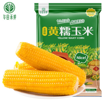 华田禾邦非转基因 黄糯玉米棒 2根装 净重≥0.4KG 东北新鲜真空黏玉米