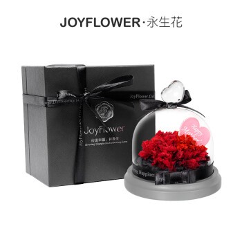 JoyFlower康乃馨永生花玻璃罩礼盒七夕情人节生日礼物纪念日送妈妈实用走心