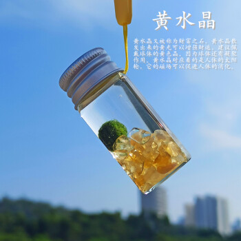 海藻球天然水晶玻璃瓶新奇好养水培植物创意迷你盆栽虎雀aa黄水晶玻璃