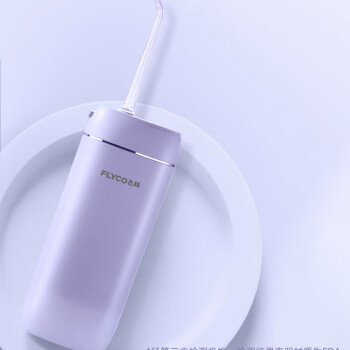 飞科（FLYCO） 电动冲牙器 家用便携式水牙线洗牙器 极光紫【FP7800】PJ