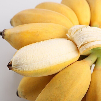 果迎鲜香蕉 新鲜水果 广西小米蕉 小芭蕉 小香蕉 大香蕉 苹果蕉 需催熟 苹果蕉整箱5斤