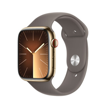 Apple Watch Series 9 智能手表45毫米金色不锈钢表壳陶土色运动型表带S/M【蜂窝款】MRPK3CH/A