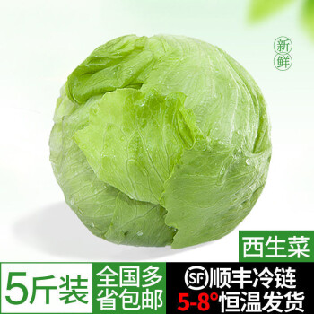 老农夫 顺丰冷链球生菜新鲜蔬菜汉堡用圆生菜球型西生菜沙拉色拉食材