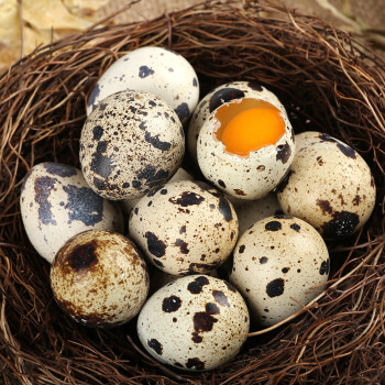 神丹 新鲜鹌鹑蛋特产鹌鹑蛋 50枚*2盒 无抗养殖科学养殖新鲜蛋类 盒装