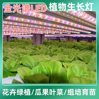 植物灯植物补光灯植物生长灯多肉补光灯全光谱植物生长补光灯led仿