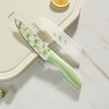 咚西 厨房刀具印花不锈钢厨师刀 家用瓜果刀水果刀 10把起售