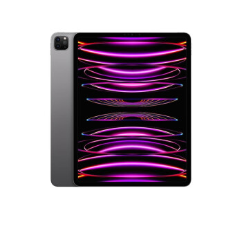 Apple iPad Pro 12.9英寸平板电脑 22年(512G WLAN版/M2芯片Liquid视网膜屏/MNXU3CH/A) 深空灰色*企业专享