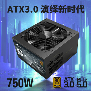 长城（Great Wall）额定750W X7金牌全模电脑电源（ATX3.0标准/原生PCIe5.0接口）YFS