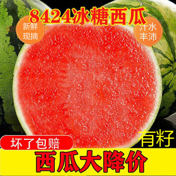 薄皮西瓜8424麒麟西瓜当季现摘新鲜西瓜早熟西瓜超甜西瓜水果头茬西瓜