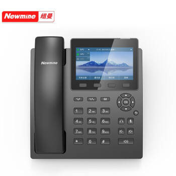 纽曼 HL2008TSD-9083（R） IP录音电话机座机 网络办公固话 商务座机 同步通讯录 商用电话机