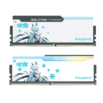 阿斯加特（Asgard）32GB(16GBx2)套装 DDR4 3600 台式机内存 RGB灯条 吹雪联名款