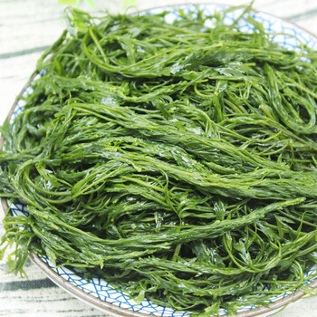 马尾藻海草5斤 新鲜盐渍鞭炮笋海藻羊栖菜麻辣烫火锅串串配菜食材