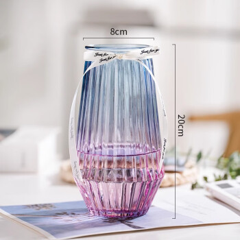 初卓透明玻璃花瓶渐变水培植物干花鲜花插花瓶 XZ锥底竖条蓝紫色