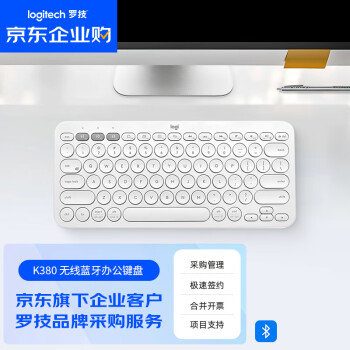 罗技（Logitech）K380 企业级无线蓝牙键盘 办公笔记本平板IPAD电脑键盘 时尚简约 超薄便携 芍药白