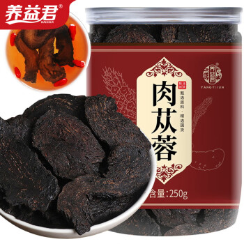 养益君 肉苁蓉250g 内蒙古阿拉善鲜切软质肉苁蓉片 可搭锁阳肉苁蓉淫羊藿男性滋补可搭中药材药食同源泡酒料