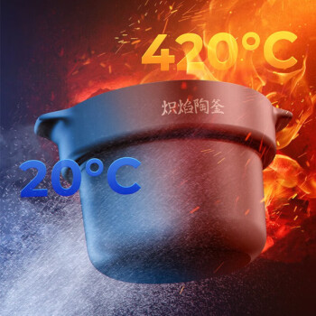 九阳（Joyoung）DG50Z-GD992 电炖锅家用5L大容量快炖大火力煲汤炖煮智能电炖锅陶釜内胆瓦罐煲