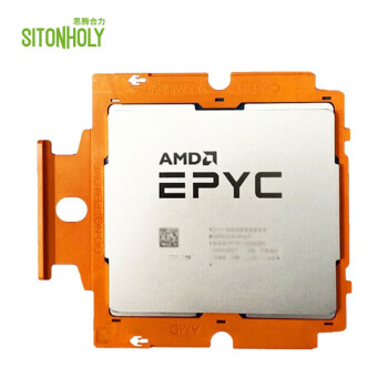 思腾合力cpu高性能计算处理器AMD热那亚EPYC 9654/主频2.4G/睿频3.7G/96核/192线程/384MB/360W