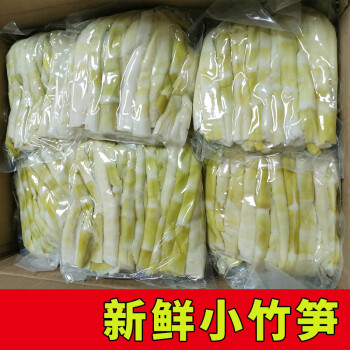 小竹笋新鲜春笋安吉火锅笋子清水笋鲜淡嫩笋尖袋装野笋2500g