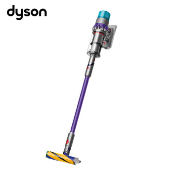 戴森（DYSON）G5 Detect Absolute手持无线大吸力吸尘器 除螨 宠物 家庭适用 8+2款吸头配件组合