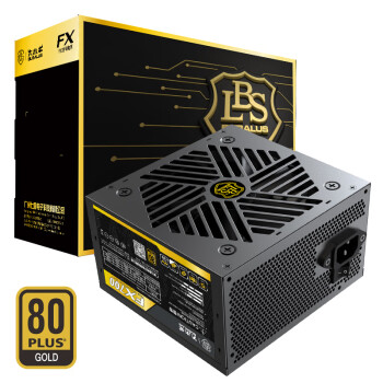 大水牛（BUBALUS）额定700W FX700台式电脑电源（支持3080显卡/80PLUS金牌/主动式PFC/宽幅/智能温控/扁线）