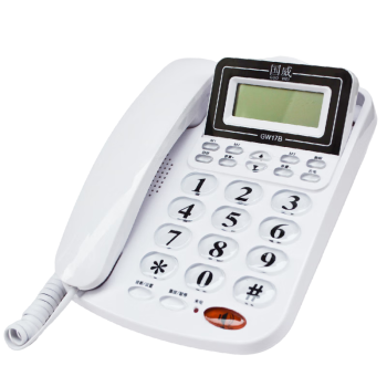 国威（GUO WEI）电话机座机 固定电话 商务办公家用 免电池双接口来电显示内部对讲铃声音量调节GW17B（白）