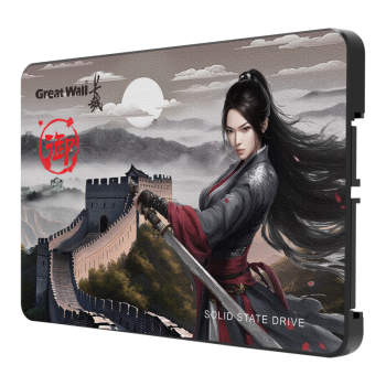 长城（Great Wall) 2TB SSD固态硬盘 SATA3.0接口 长江存储晶圆 国产TLC颗粒高速稳定读写 GT580系列