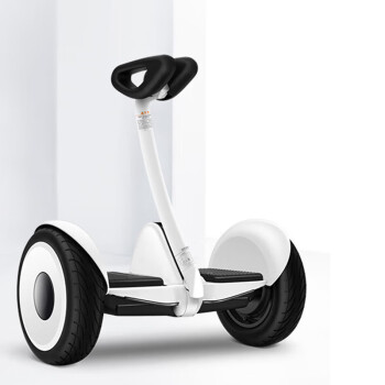 小米 九号平衡车体感智能骑行 遥控漂移成人电动车 双电机驱动 超长续航 白色 可用充气宝 