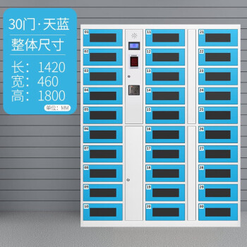 天缘捷成TY-SJG30智能管理柜保管柜定制手机存放柜钢制充电柜 30格人脸识别型