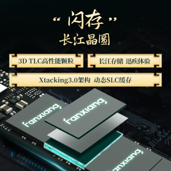梵想（FANXIANG）4TB SSD固态硬盘 M.2接口NVMe协议PCIe 4.0x4 长江存储晶圆 台式机笔记本电脑PS5游戏扩展盘 S790