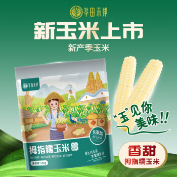 华田禾邦 零0添加 云南拇指小玉米500g 西双版纳儿童手指甜糯玉米 早餐 