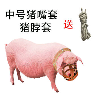 母猪防咬套猪嘴套保护仔猪神器防咬猪嘴笼嘴罩马牛羊防吃东西专用