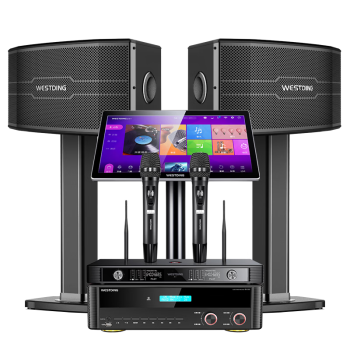 威斯汀家庭ktv音响套装点歌机一体唱歌全套设备客厅卡拉OK影院音箱118四分频反射超高音2T【10吋大包围】